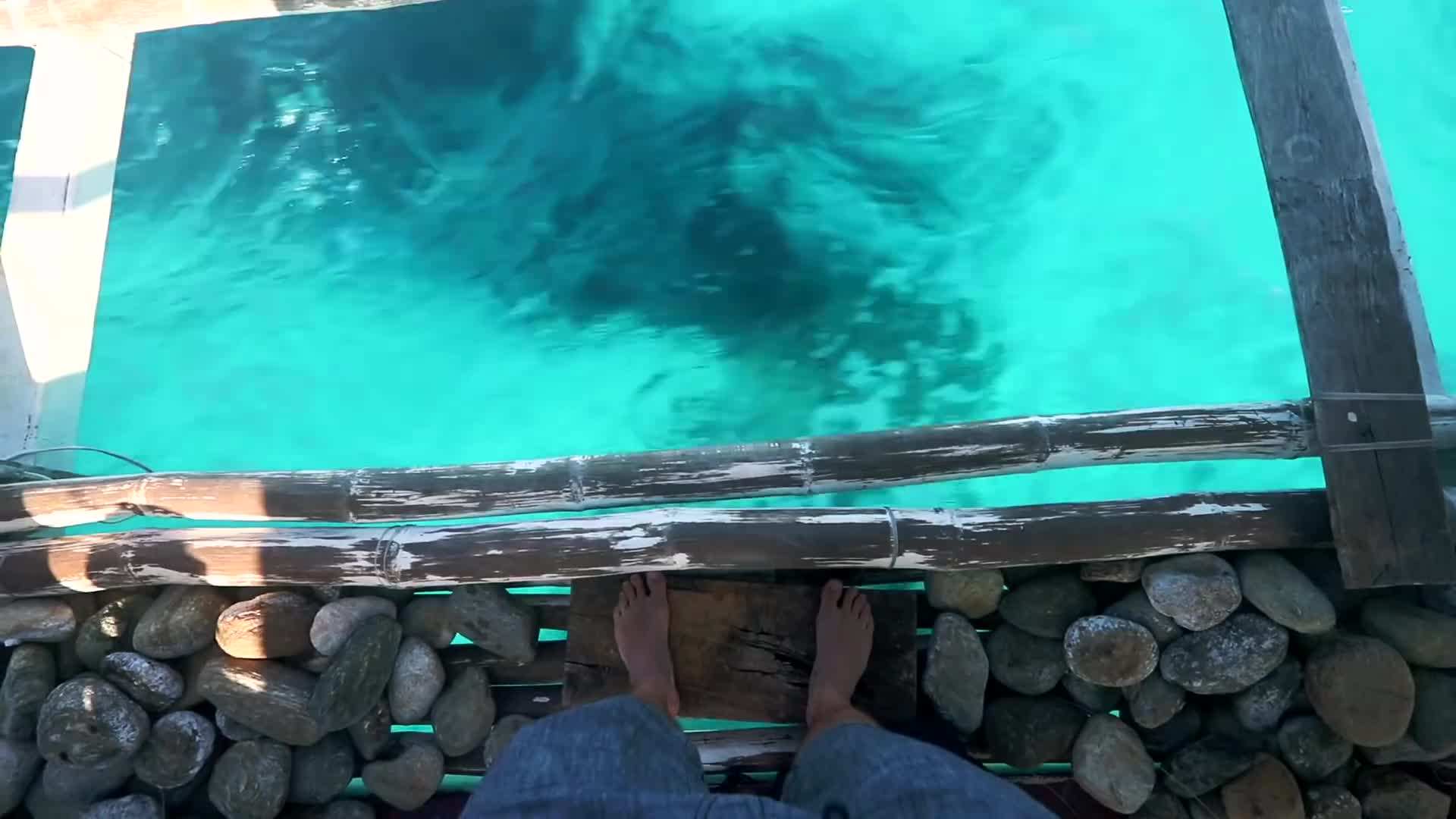 Colorful coral reefs and diverse marine life