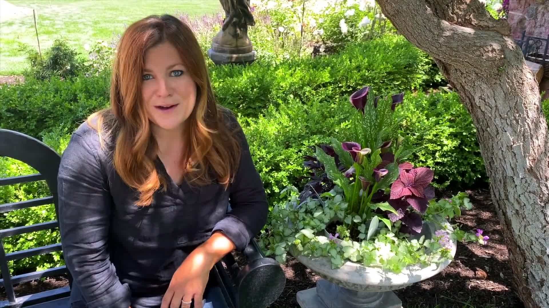 Arranging the Plants in the Urn