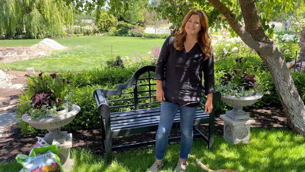 Packing Plants into These Urns! Laura Style! + Greenhouse Update!