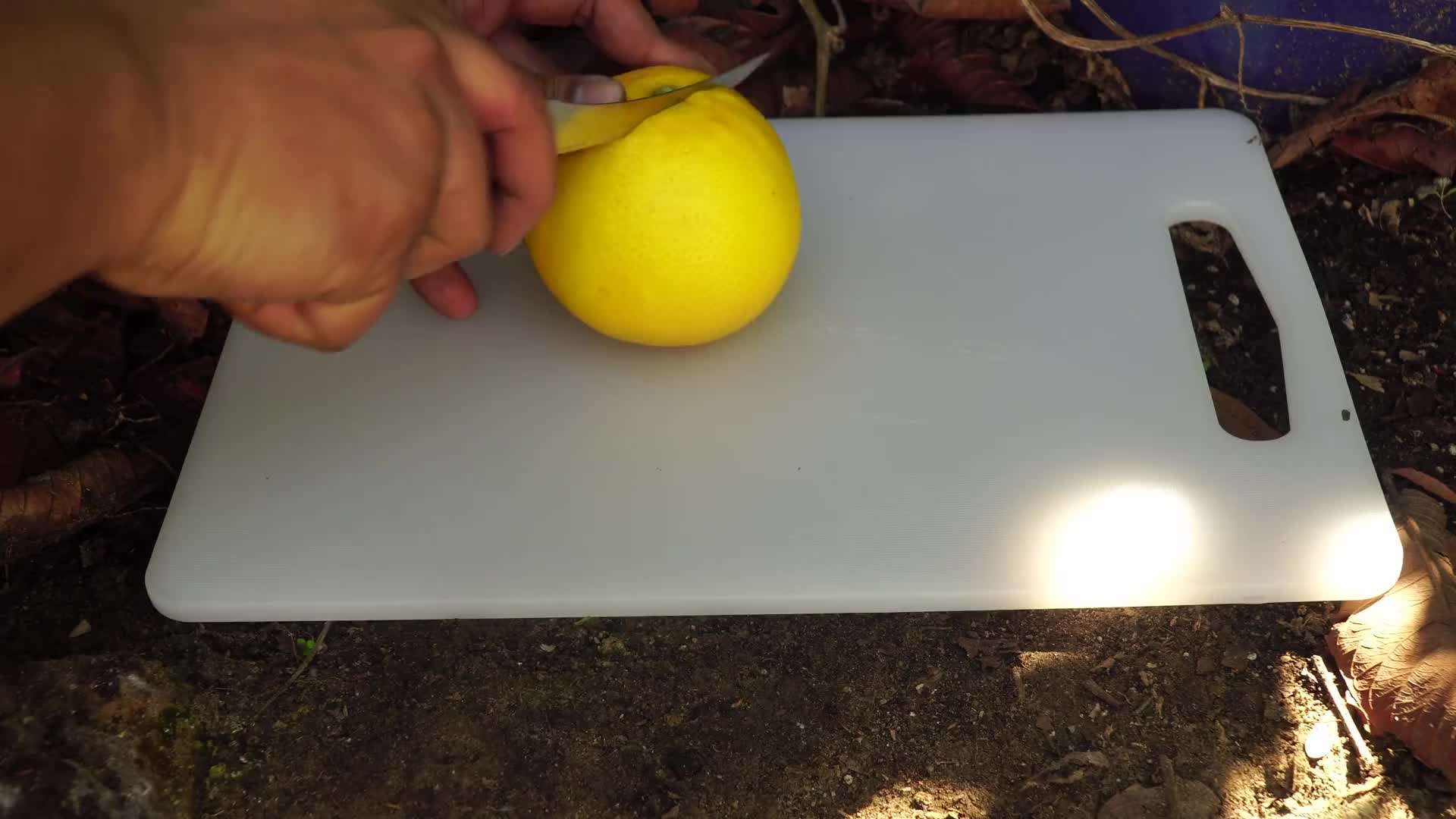 How to Determine Whether Oranges are Ripe for Harvest