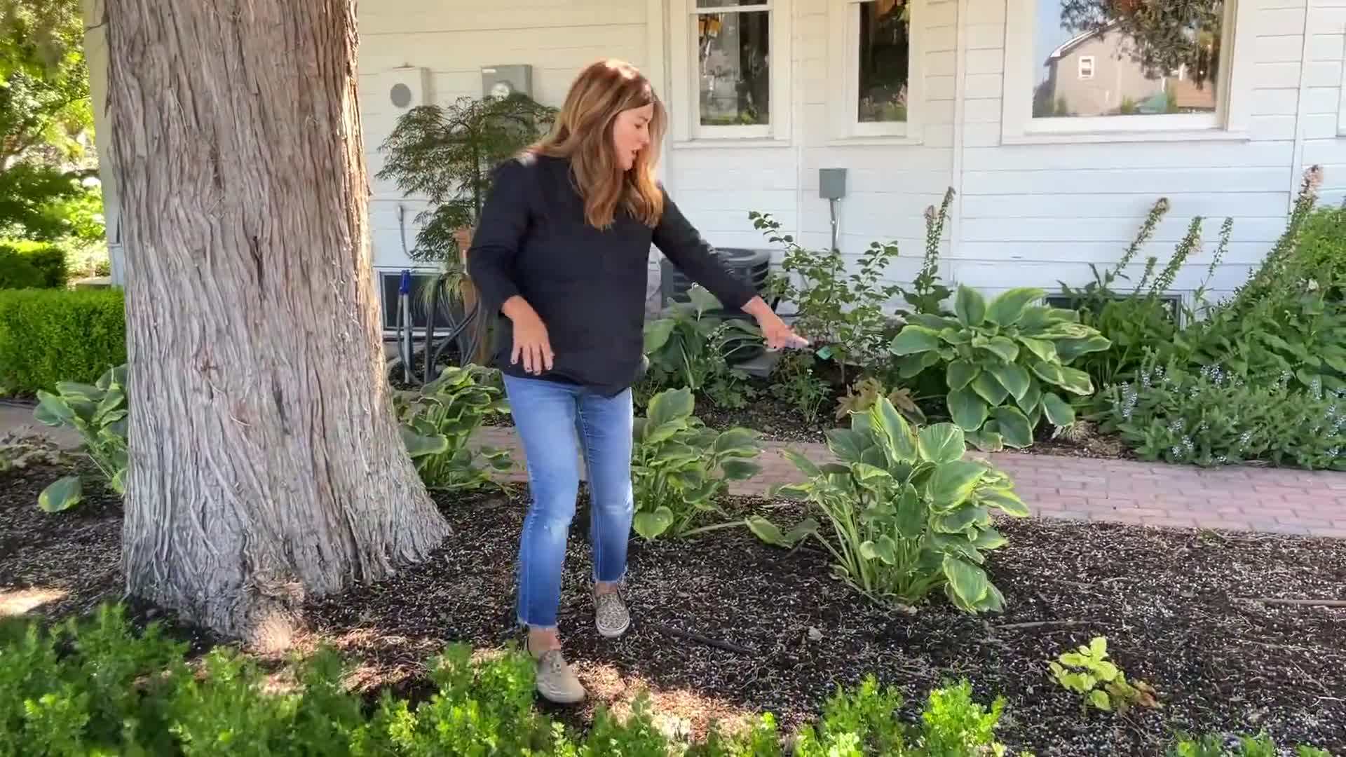 Pro-Lite Ergonomic Carbon Steel Floral Shovel