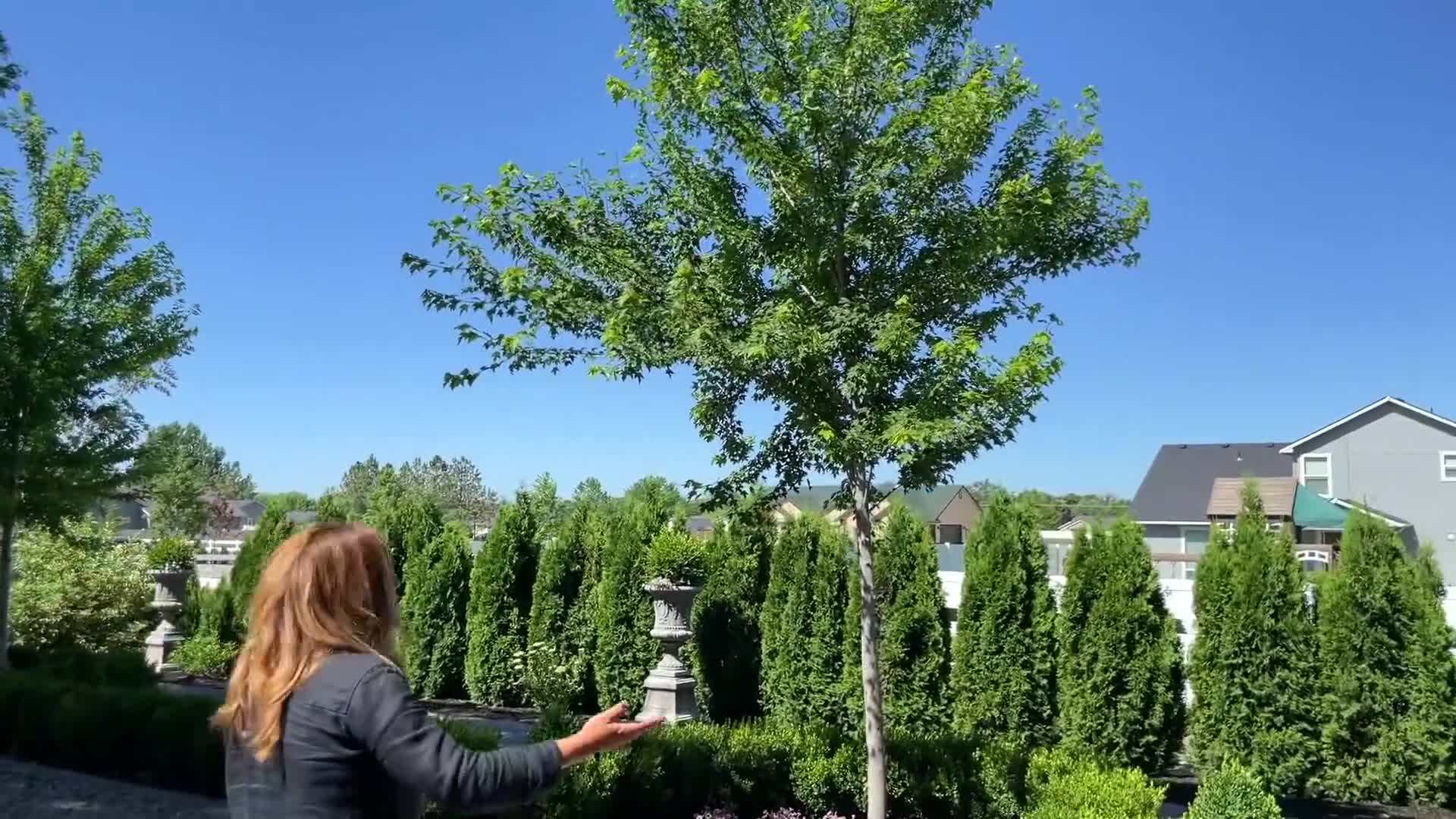 Bio-tone Starter Plus