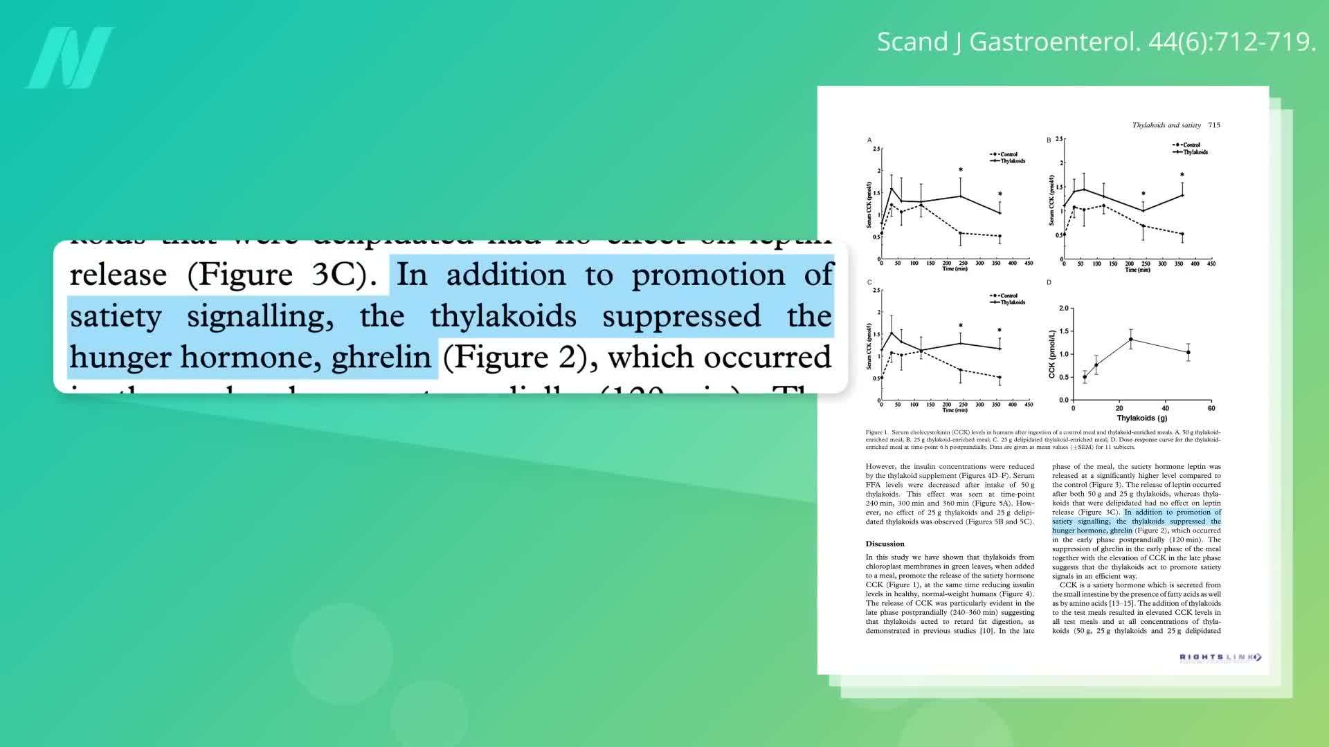 Thylakoids in Spinach Leaves
