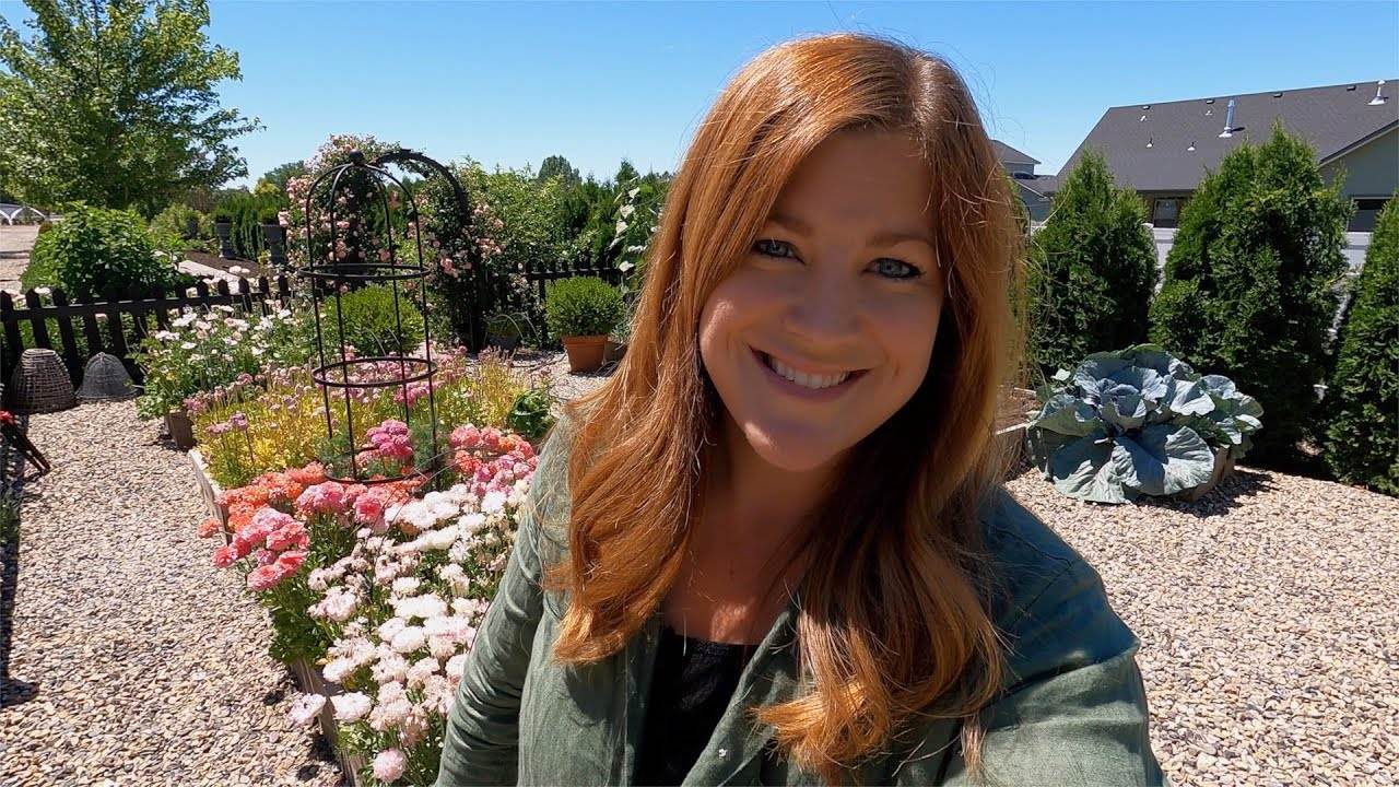 Digging Ranunculus Corms & Planting More Flower Seeds: A Comprehensive Guide