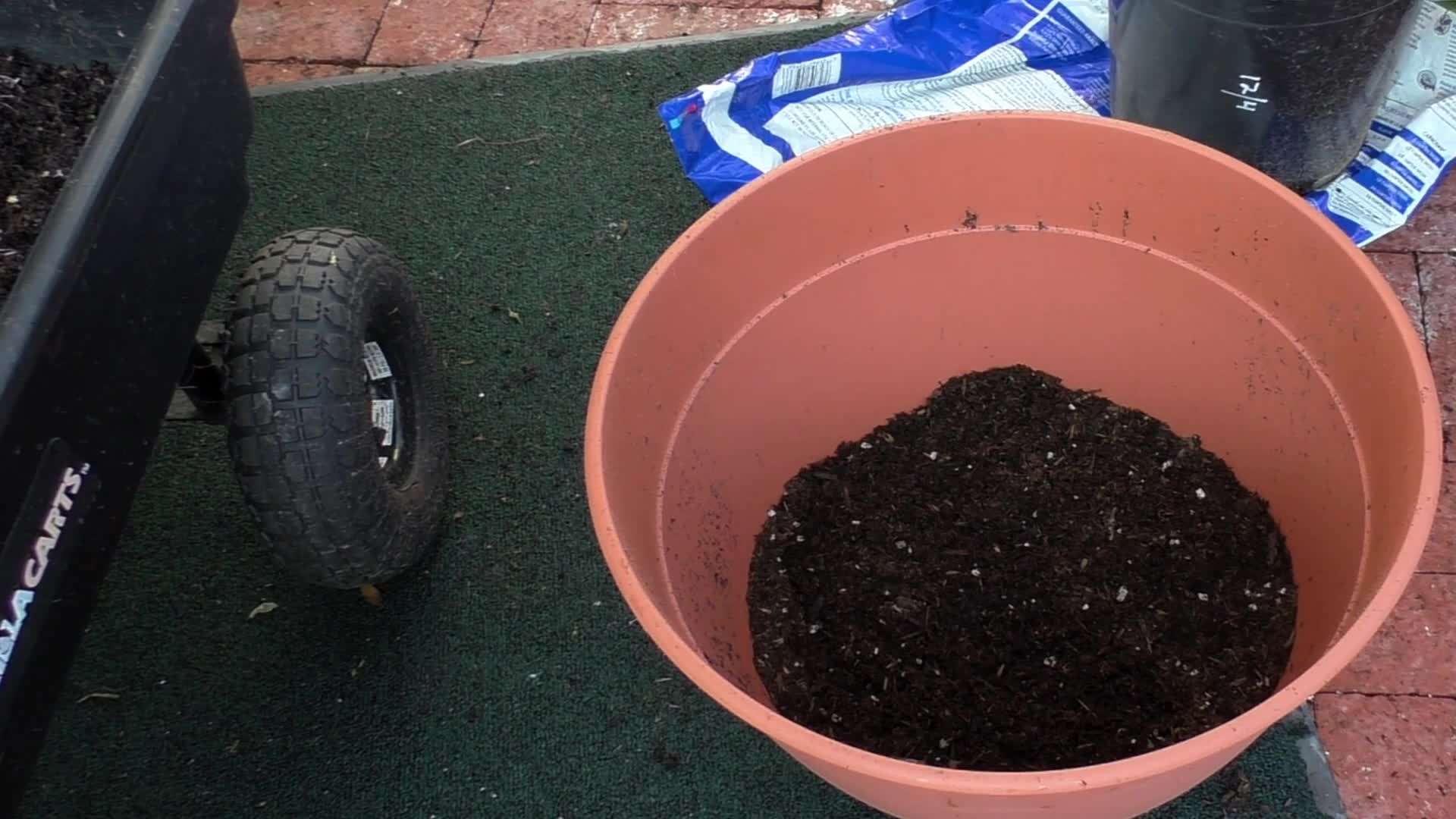 Choosing the Right Container