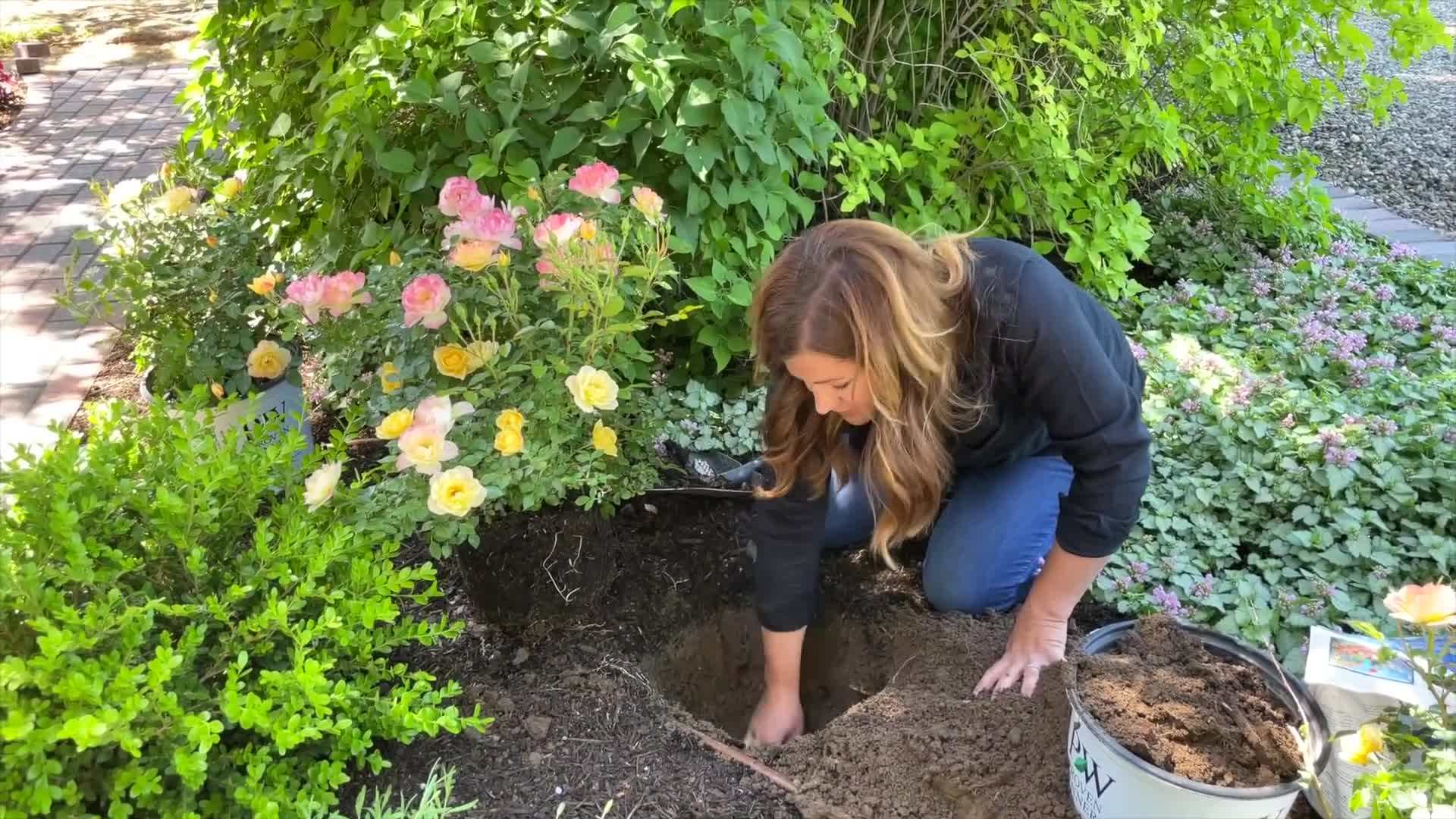 Using a Fiskars Steel Shovel for planting