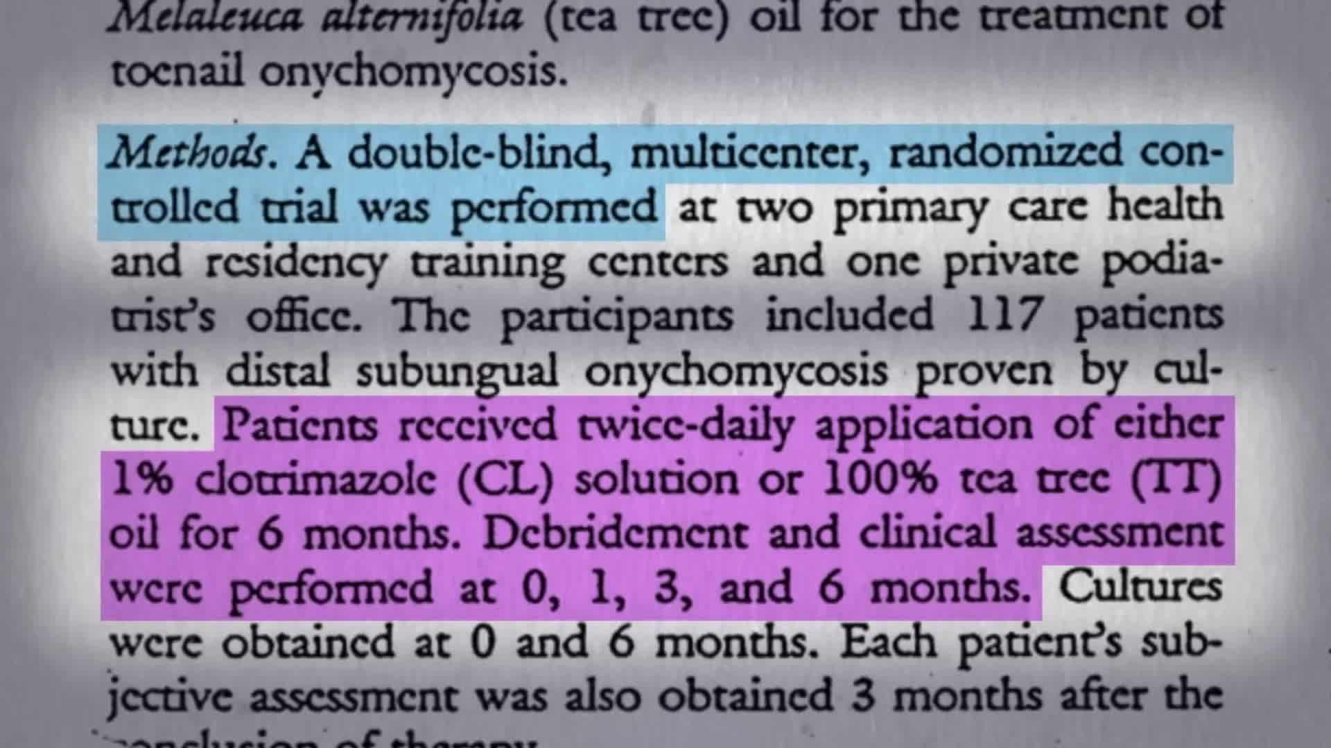 Tea tree oil shampoo