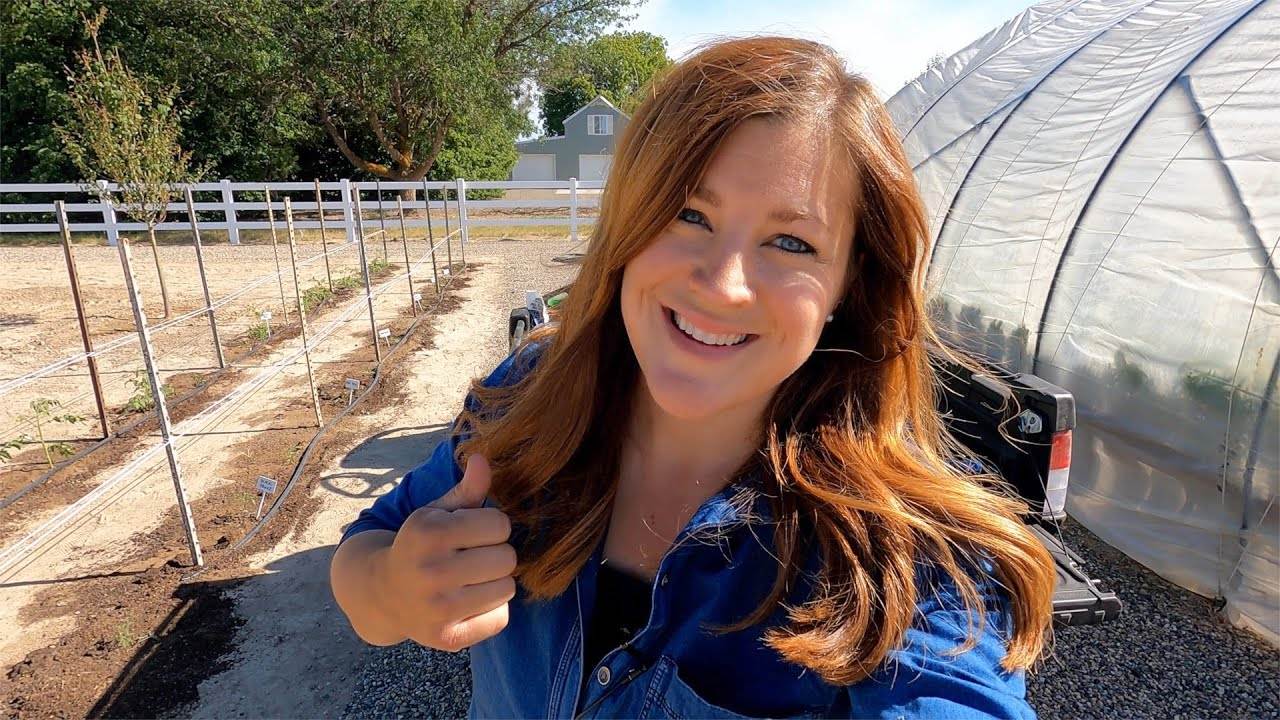Planting 30 More Tomatoes: Trying out the Florida Weave Staking System! 🍅🍅🍅