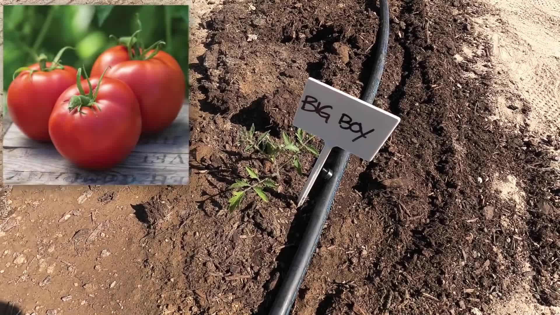 Proper placement of stakes for the Florida Weave