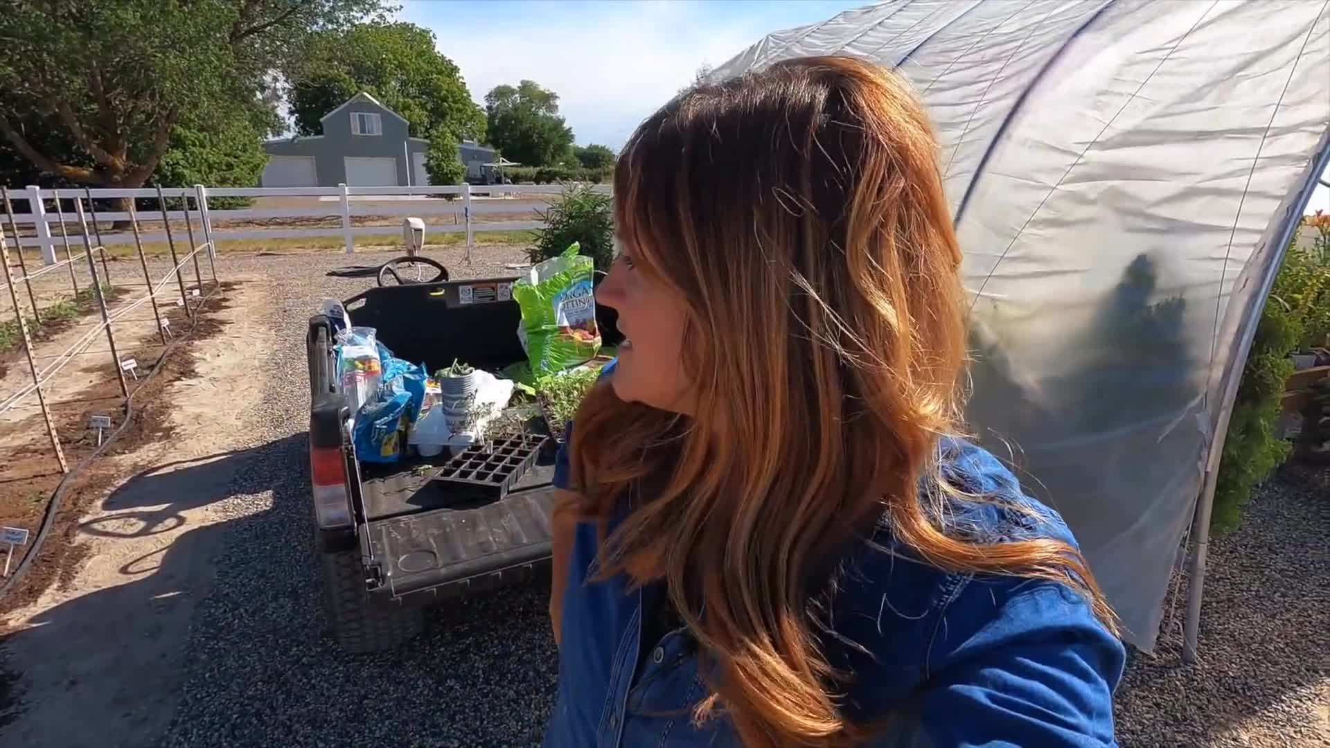 Wrapping the twine around the tomato plants