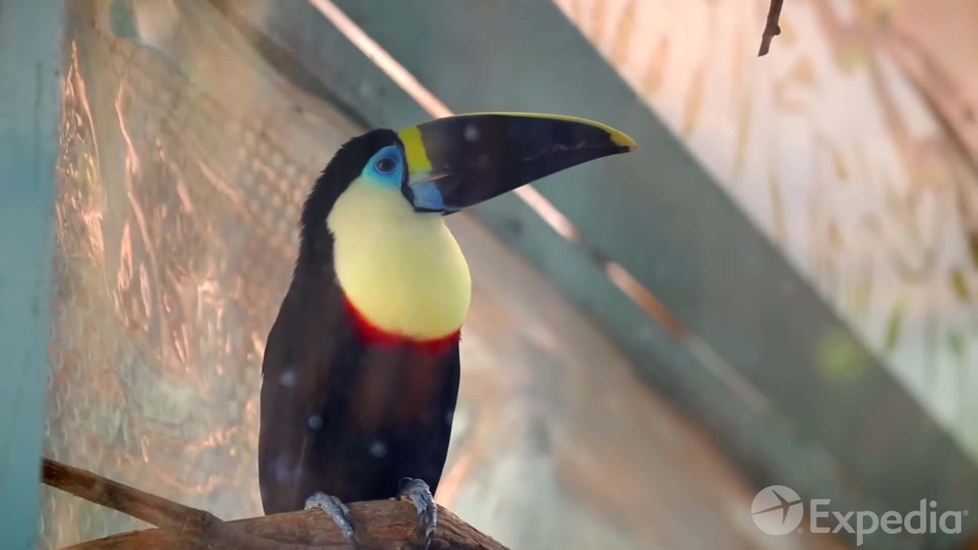 Parque de las Leyendas - Discover the wildlife of the Amazon jungle