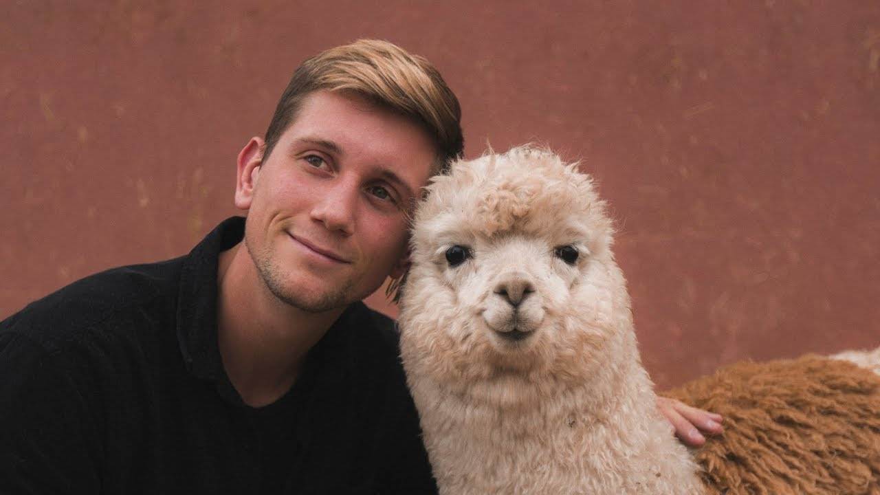 Cusco Peru - Life in the Mountains: Exploring the Market and Hanging with Llamas