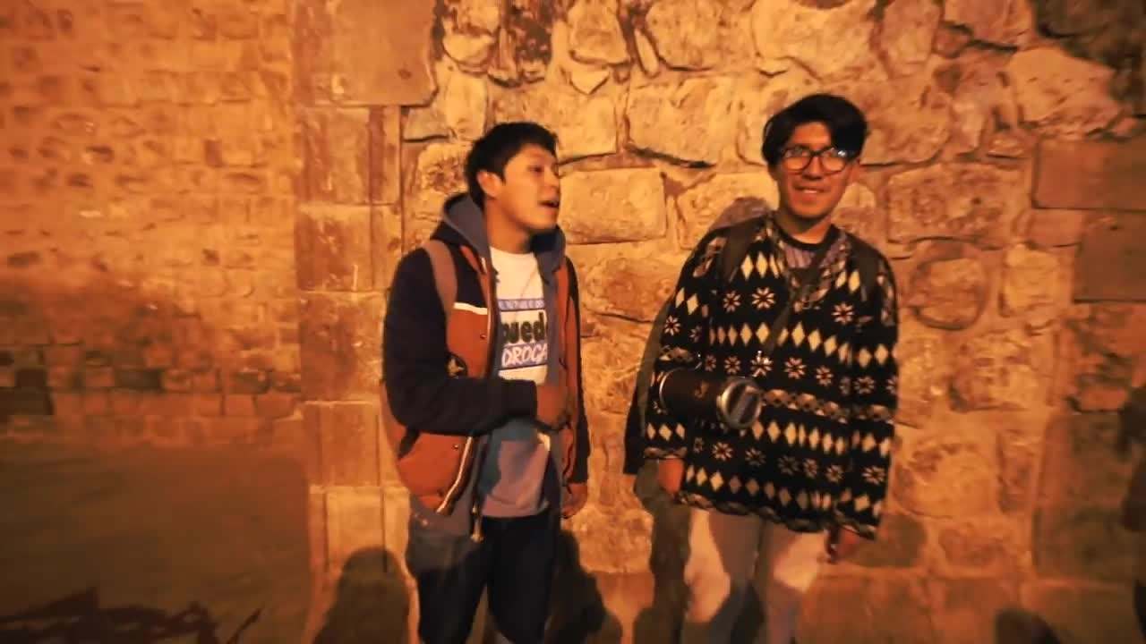 Interacting with llamas at the market