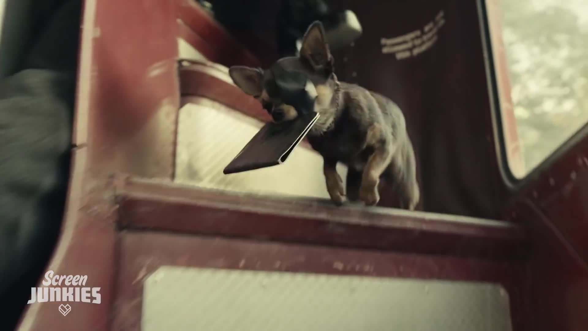 The revelation of the dog parents' relationship