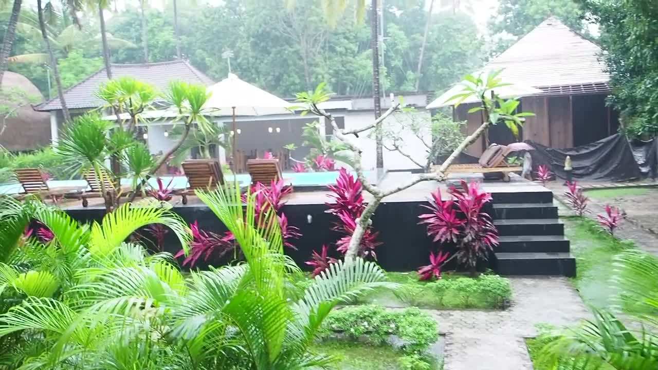 Waking up to a tropical rainfall