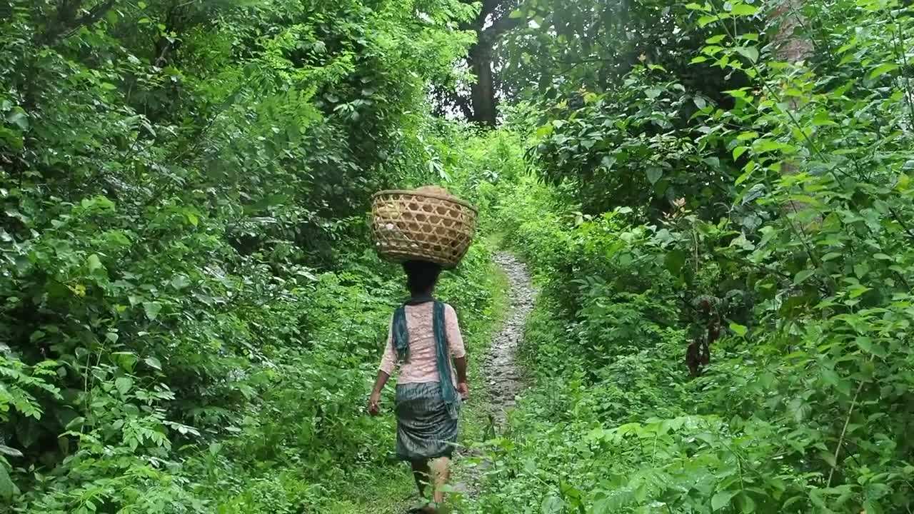 Hiking through lush greenery