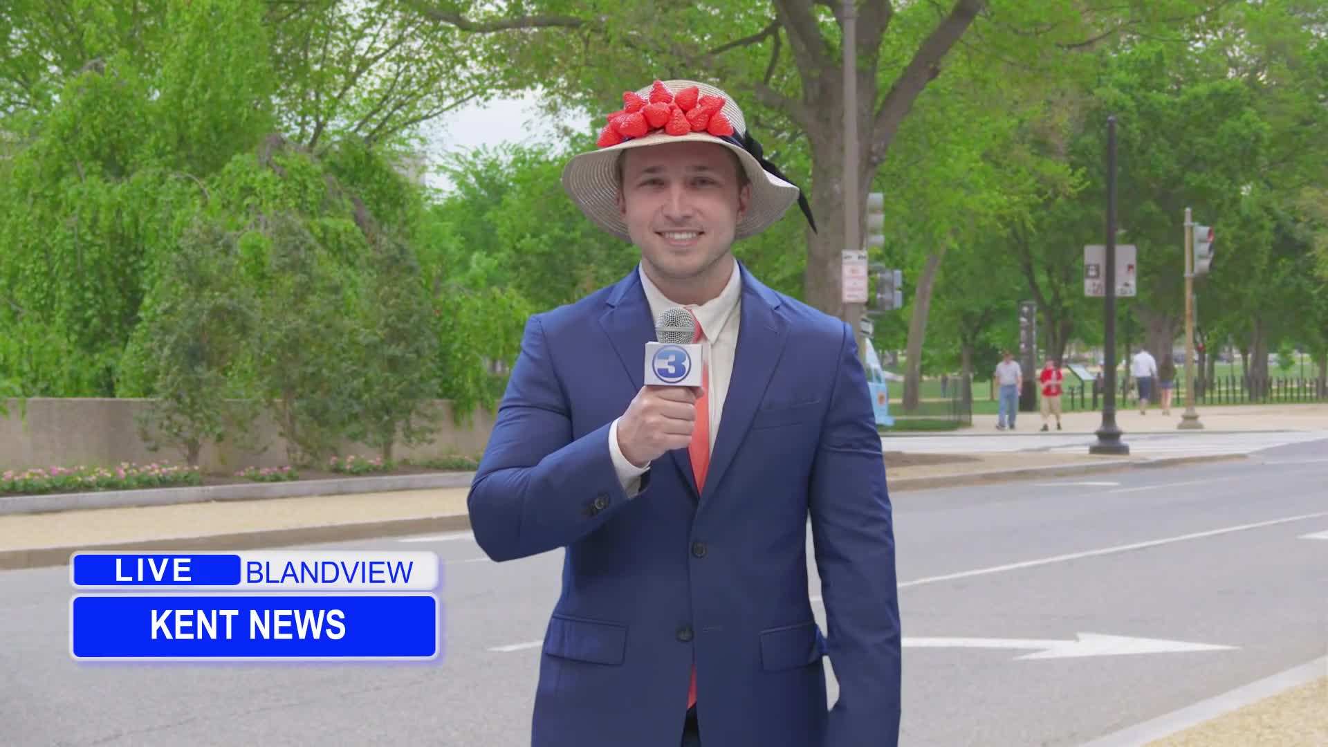 Field Reporter Kent News at the Blandview Strawberry Parade