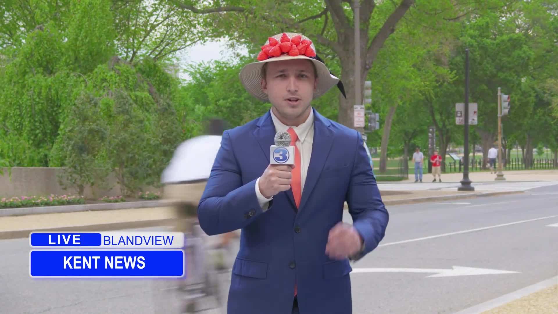 Field Reporter Kent News at the Blandview Strawberry Parade
