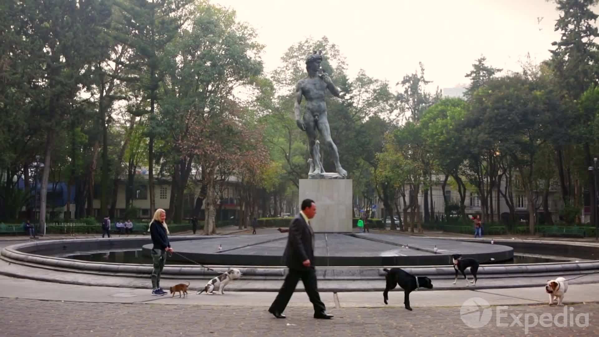 Coyoacán, a neighborhood known for its bohemian charm