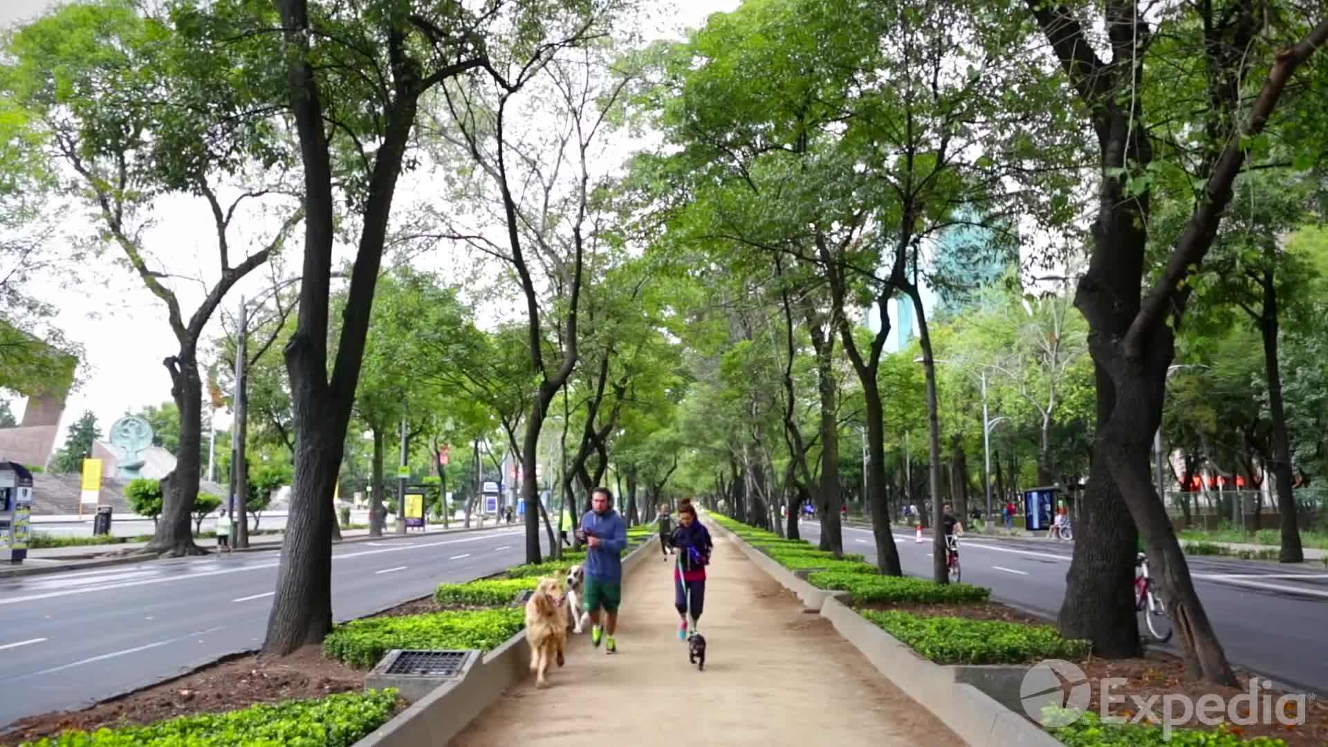 Museo Soumaya, filled with over 60,000 artworks