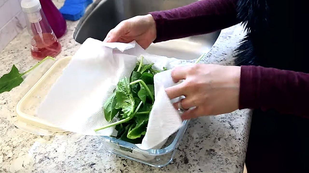 Food Storage Tips That Can Save You Money!