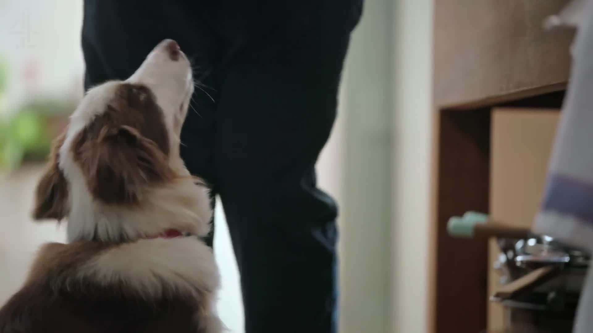Pouring the batter into a lined baking tray