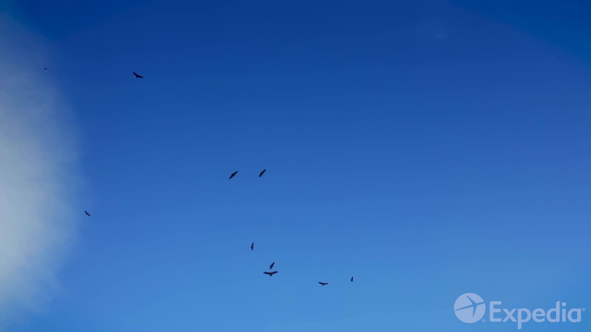 Soaring condors and solitary gauchos