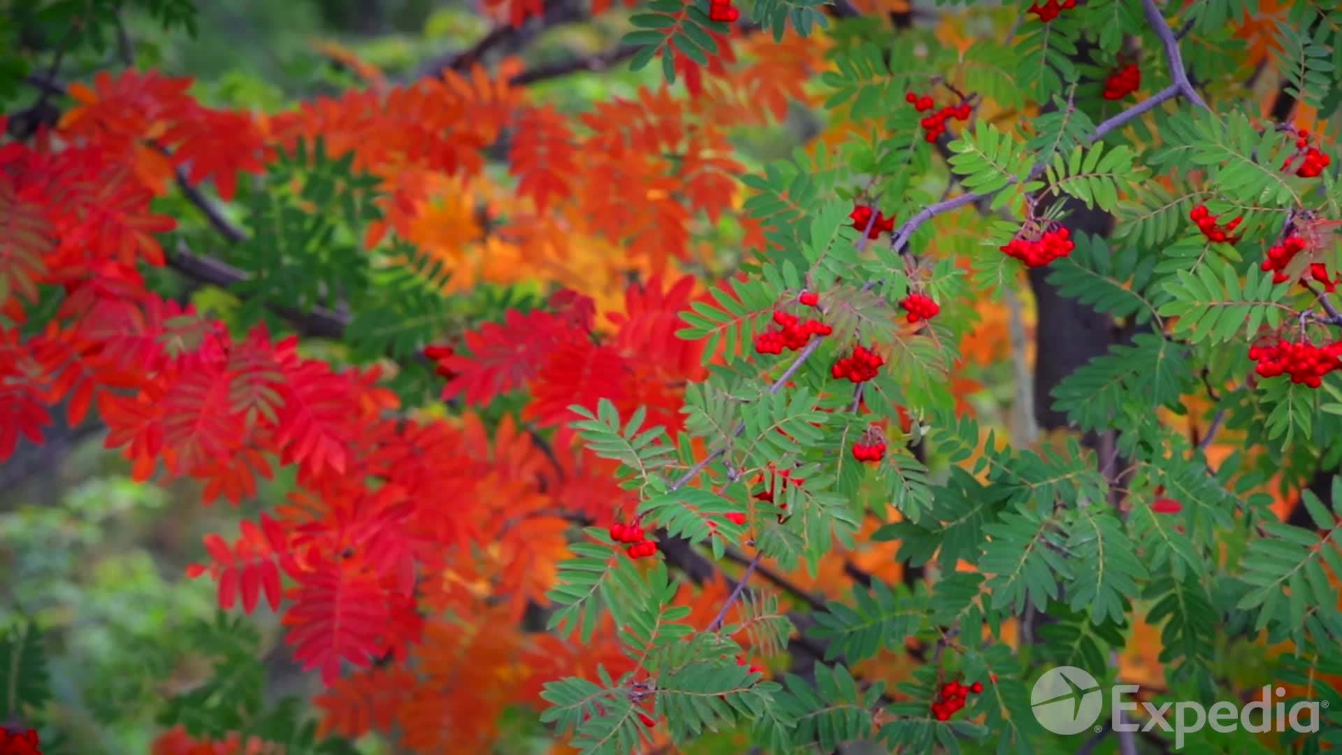 The mesmerizing beauty of Patagonia