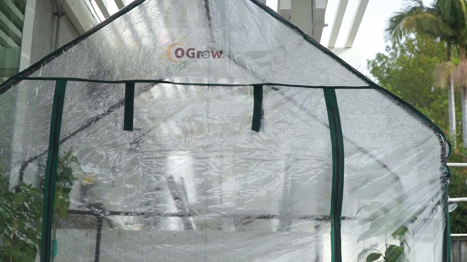 The Oak Grove greenhouse offers ample space for plants