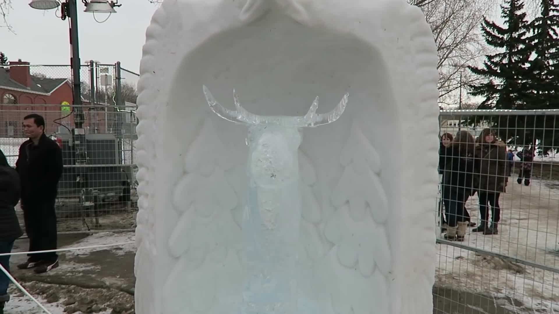 Admiring the stunning ice sculptures at the Ice on Whyte Festival