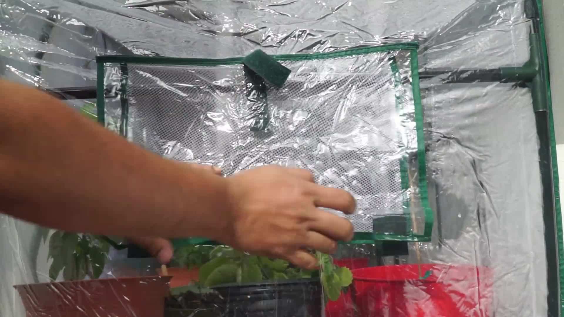 The greenhouse features a side flap or window for temperature regulation