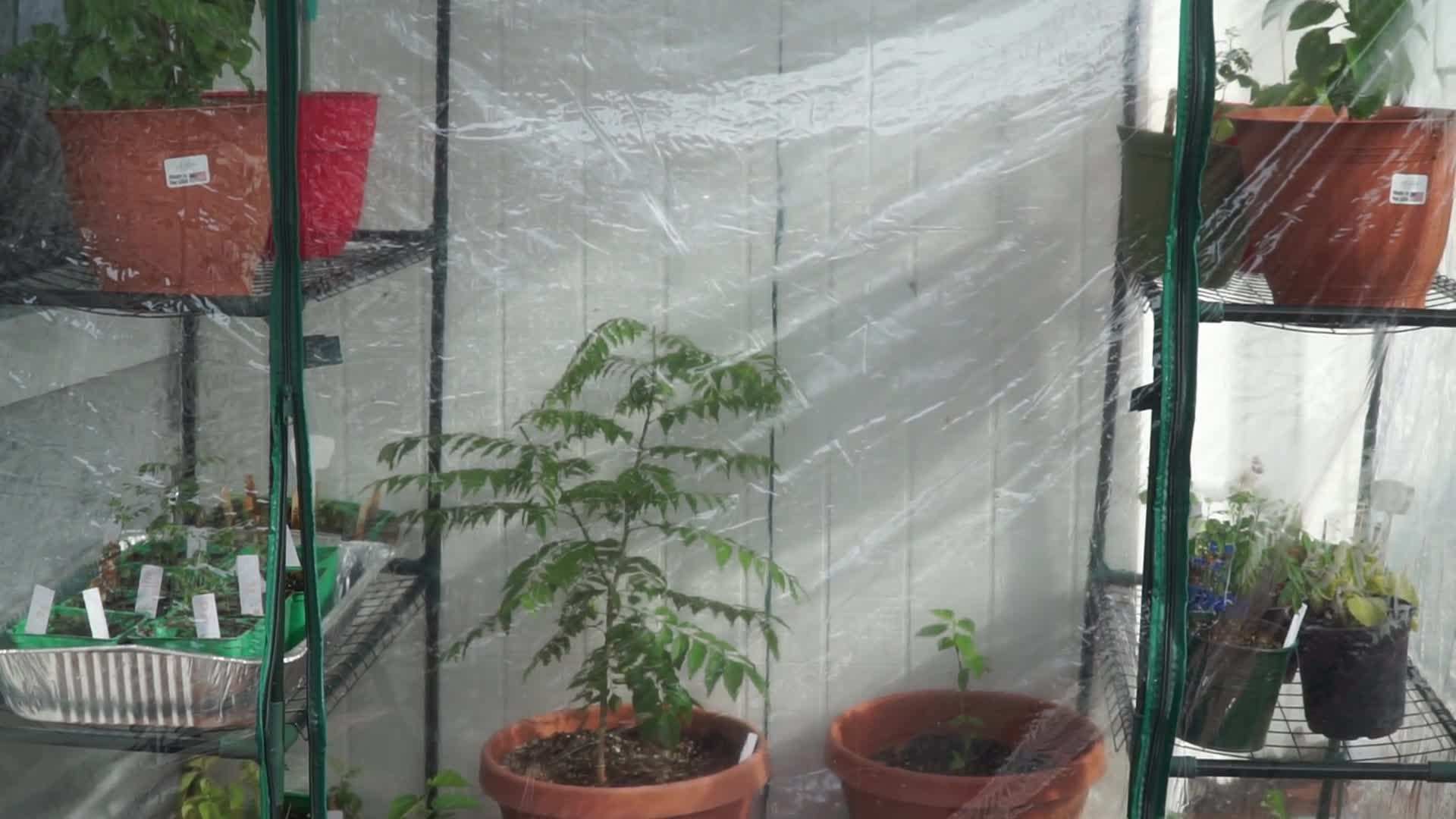 A greenhouse is a great addition to your garden