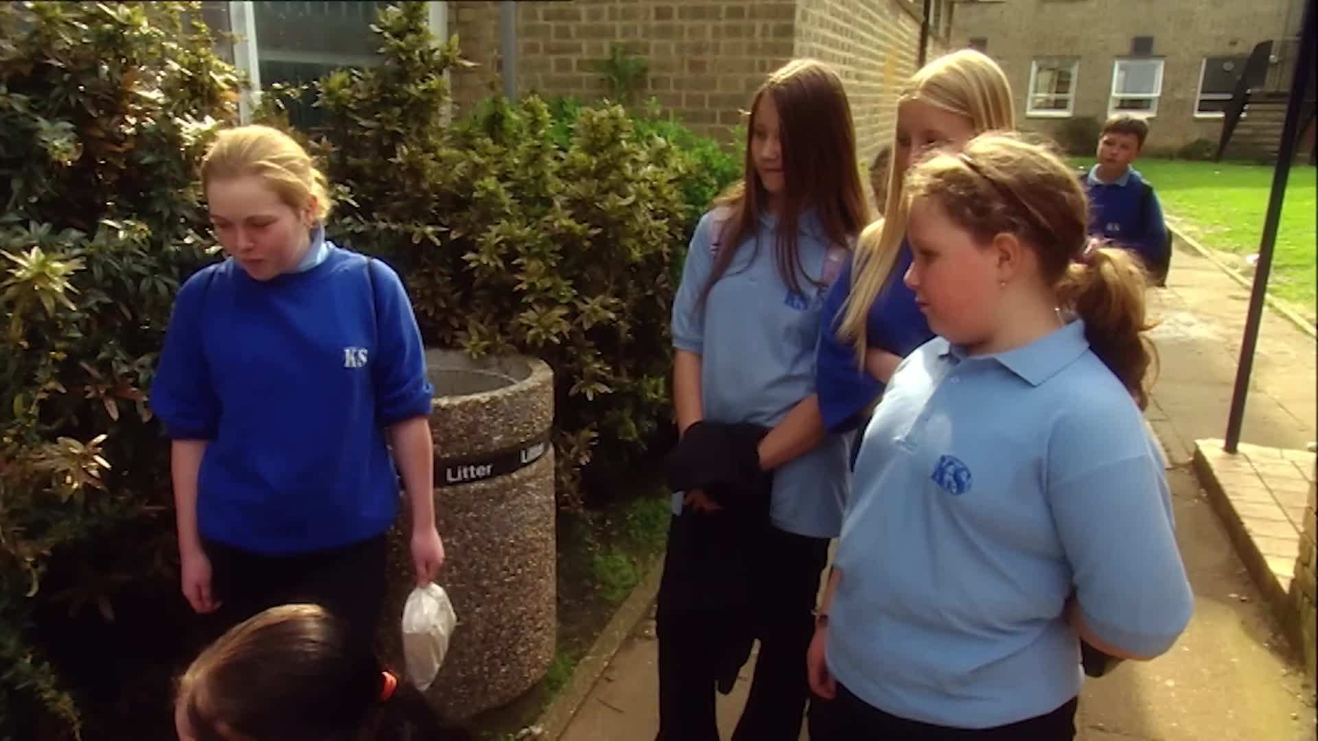 The impact of repetitive unhealthy meal options on children's choices