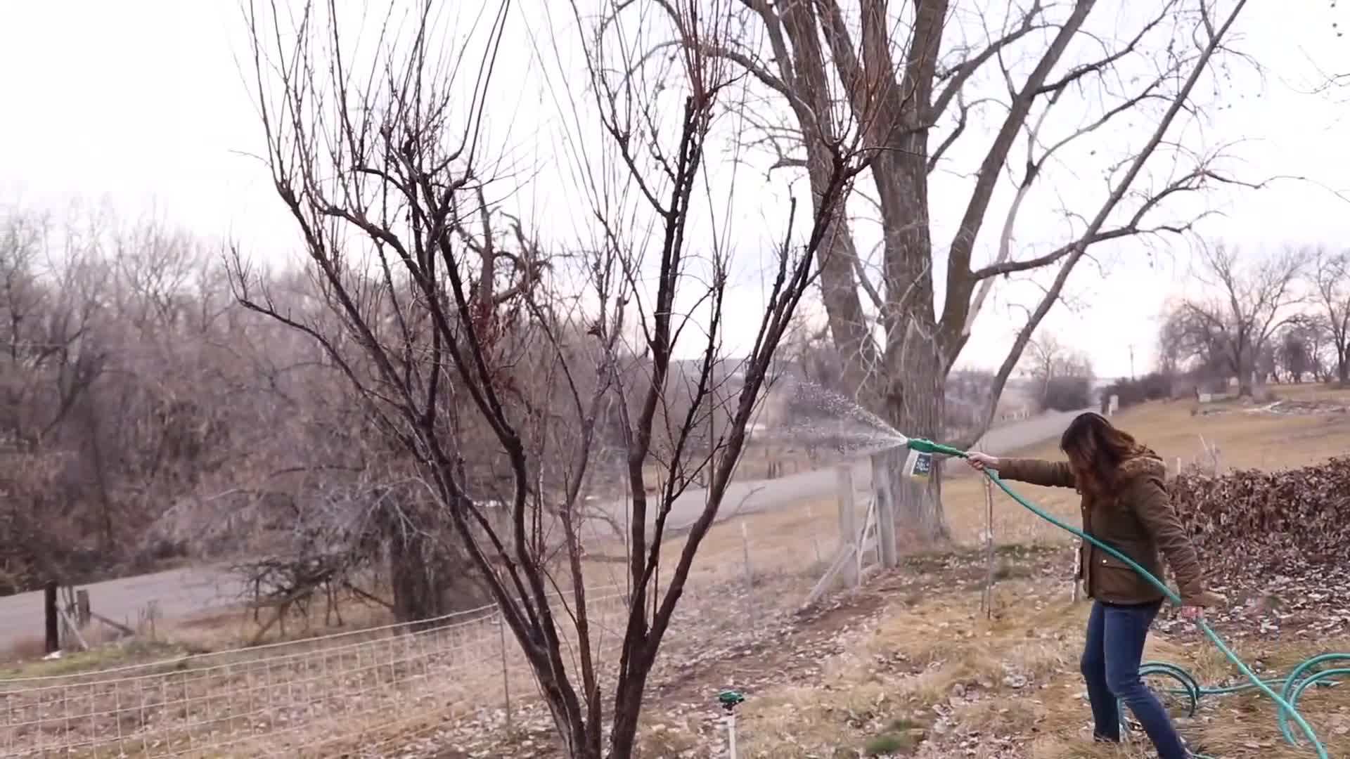 Saturating the tree with the spray mixture