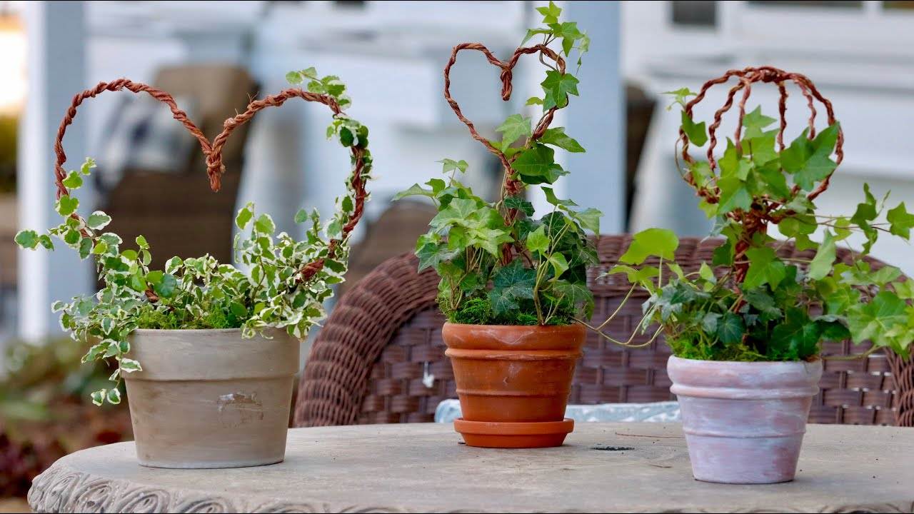 DIY Wire Topiaries for Houseplants: A Budget-Friendly Valentine's Day Project