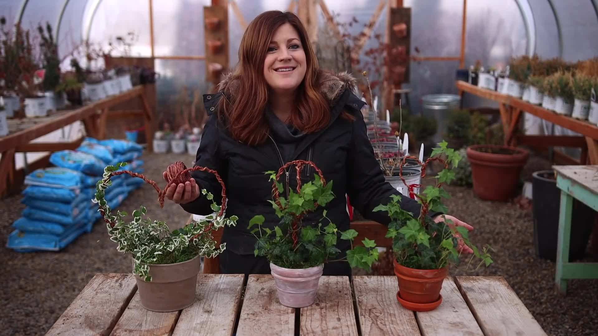 Displaying the different variations of wire topiaries