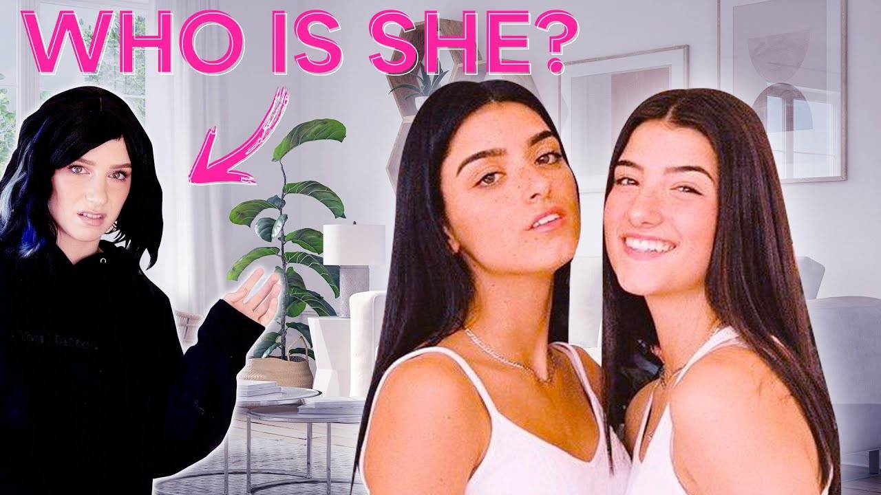 The Forgotten D'Amelio Sister: Unveiling Guppy's Untold Story