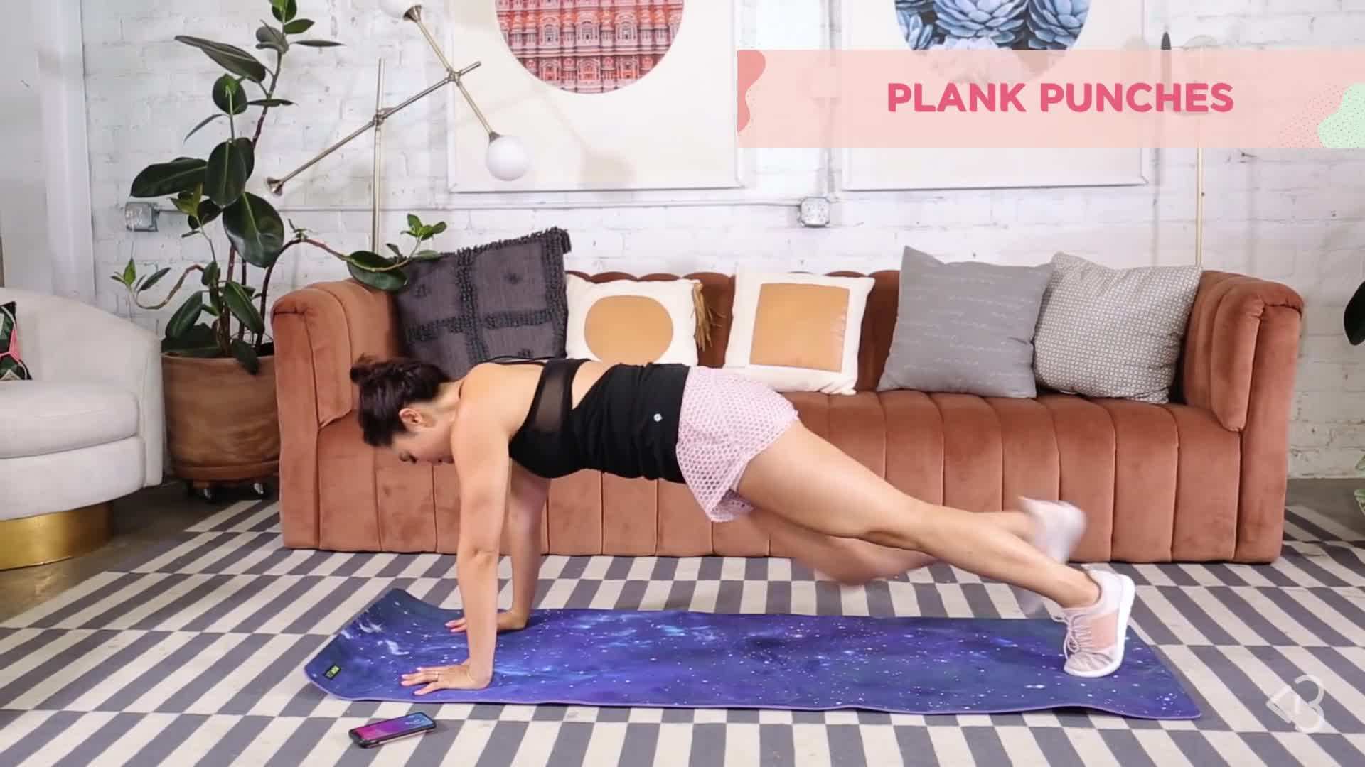 Plank Punches Exercise