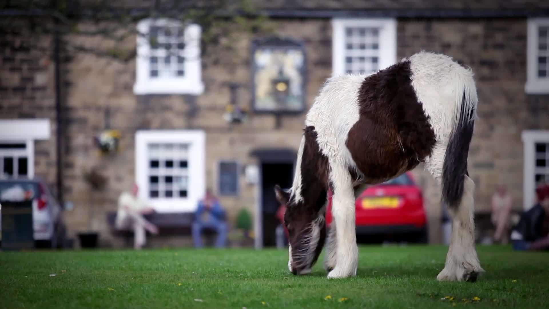 Traditional Yorkshire Puddings