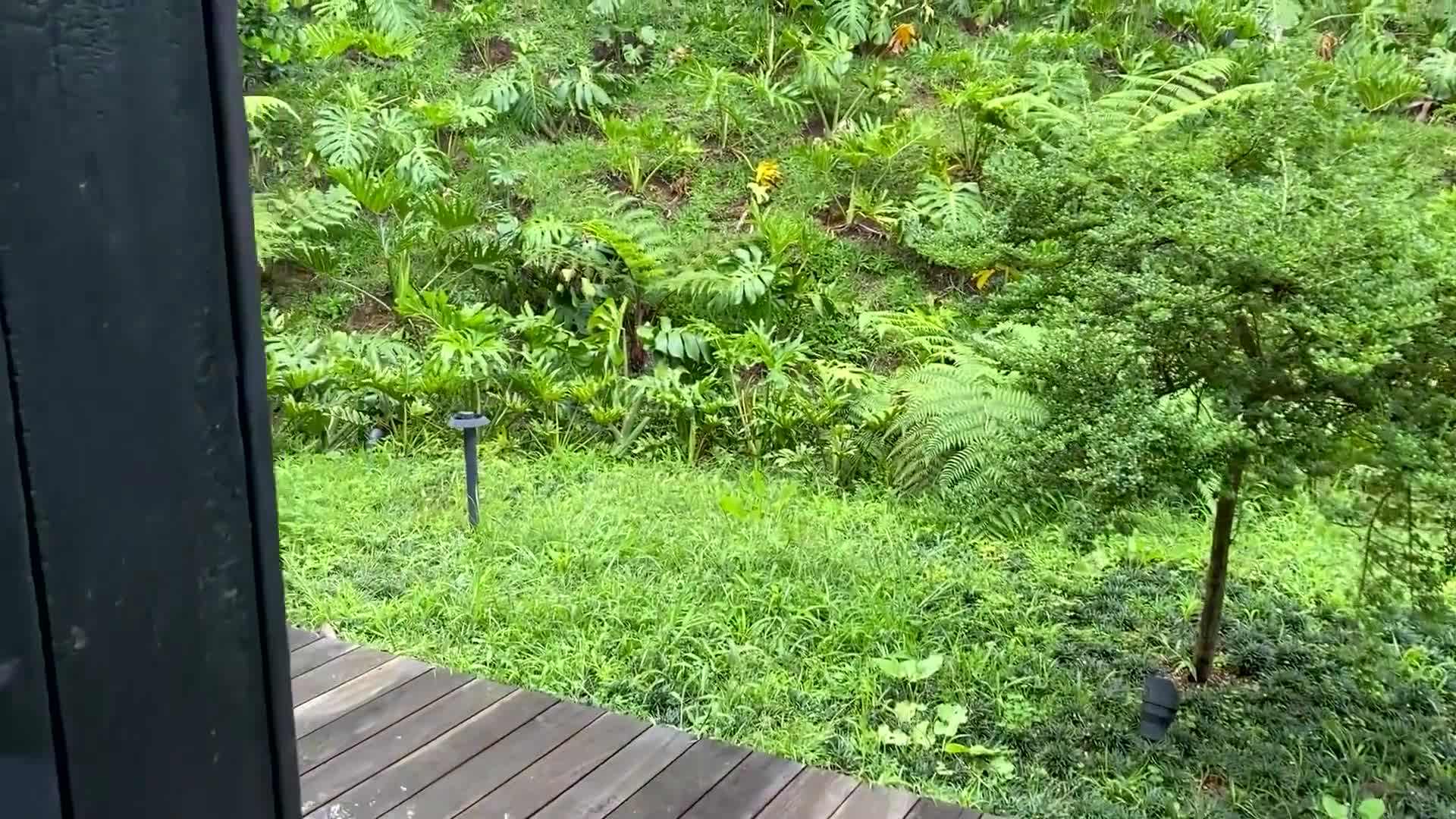 Natural light and greenery