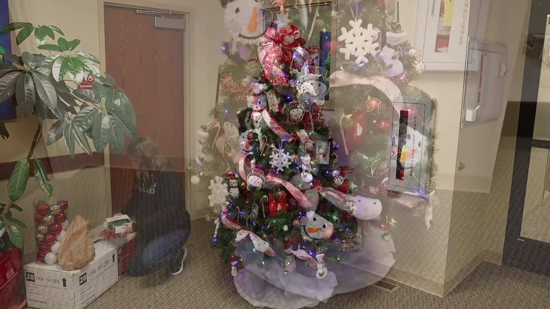 The Completed Christmas Tree