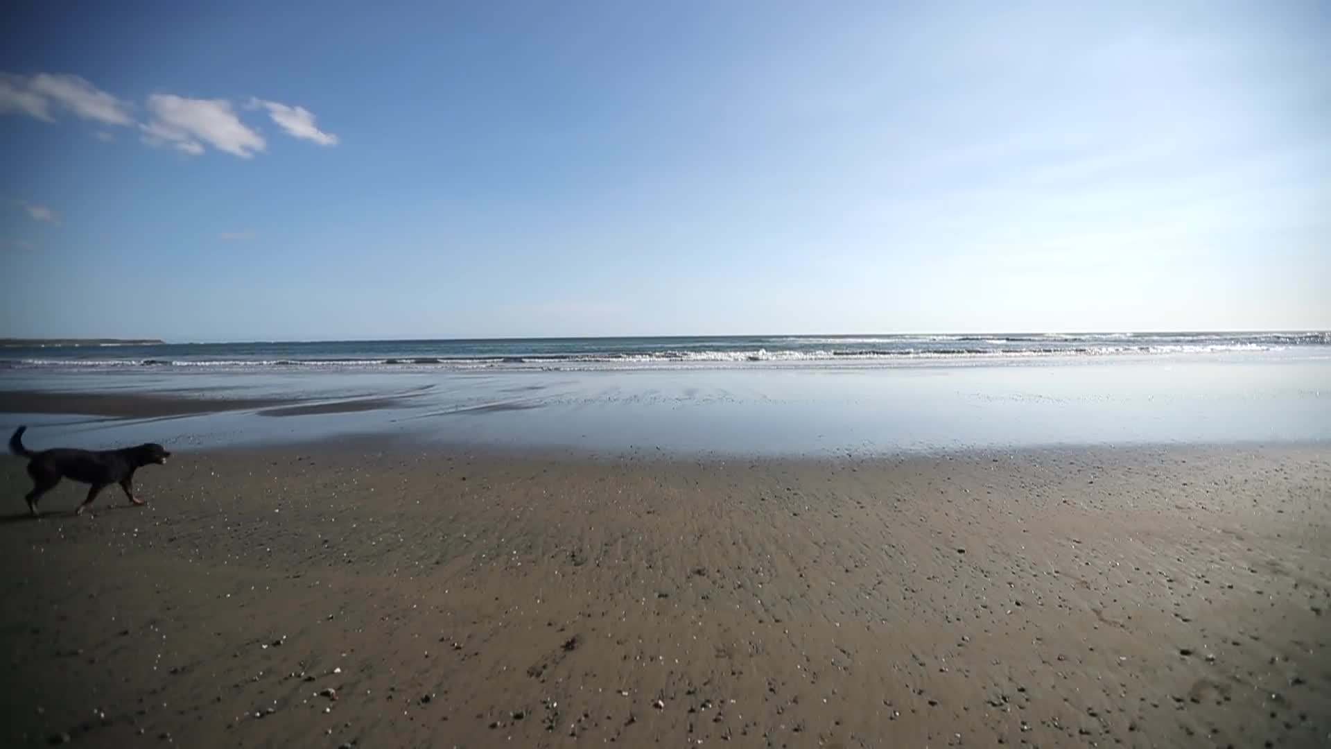 Morning Coffee with a View