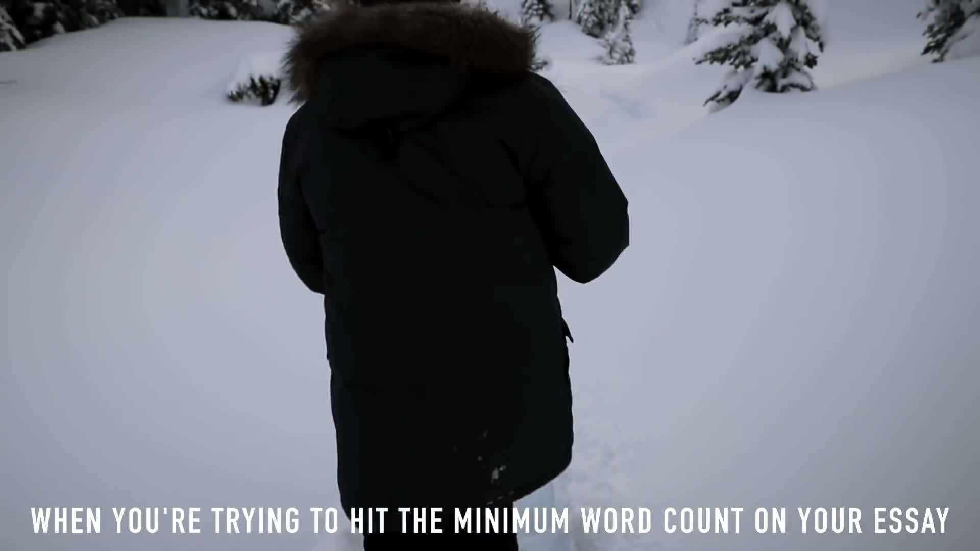 Snow-Covered Peaks from the Helicopter