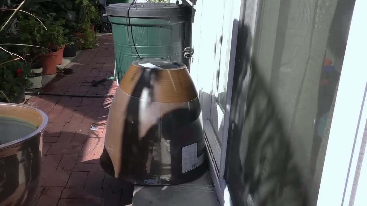 Large Containers for Blackberry Planting