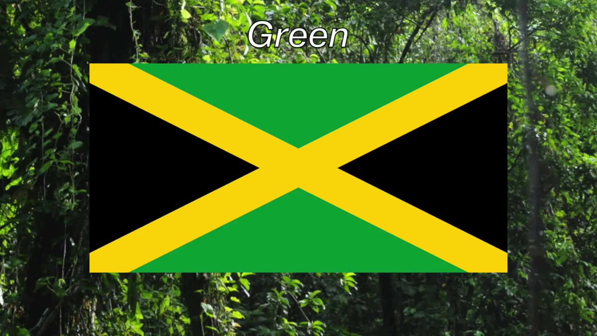 Symbolism of the Green and Black Sections on the Jamaican Flag