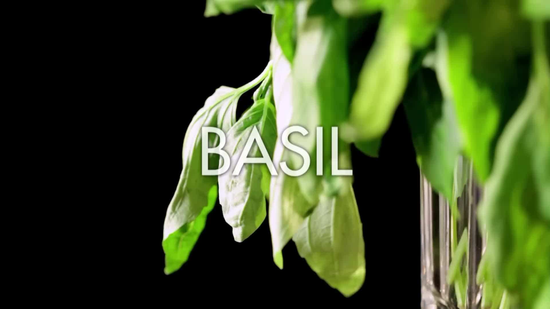 Varieties of Basil