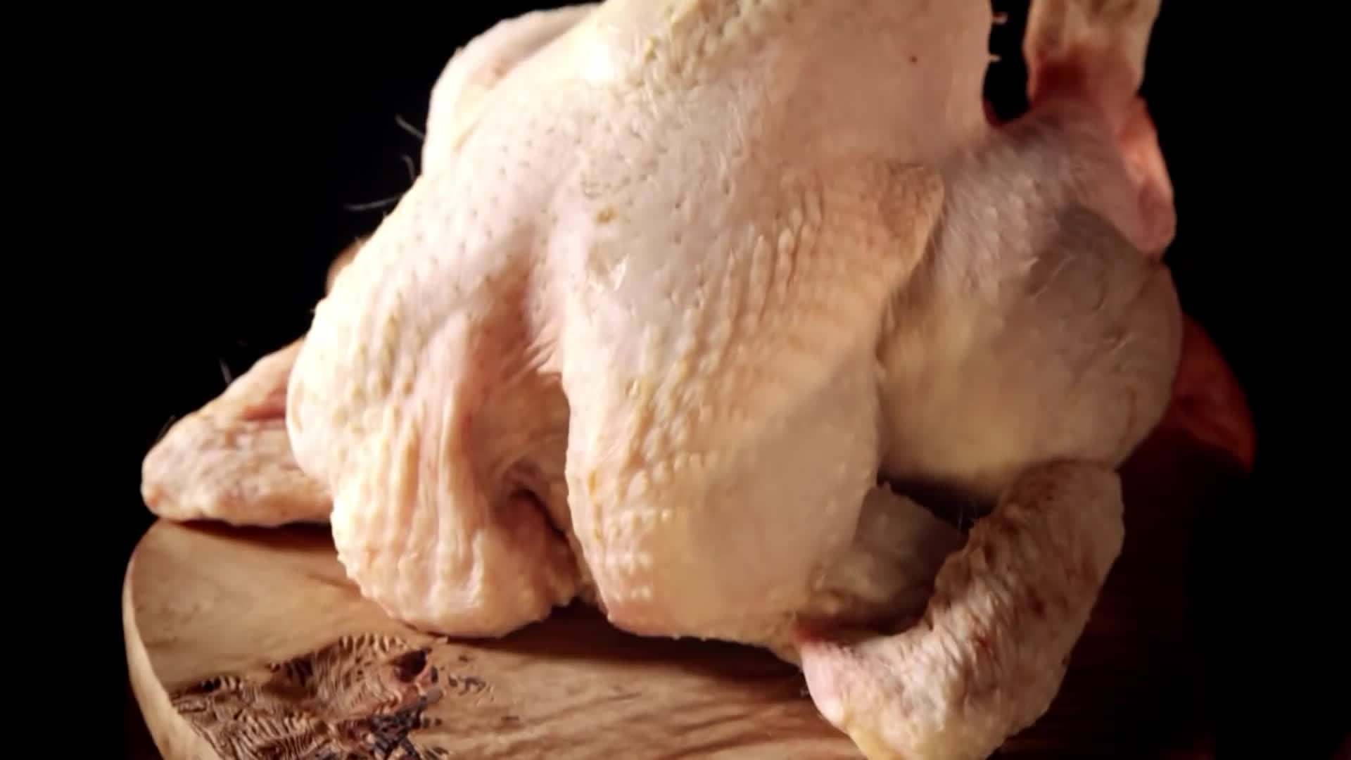 Understanding Different Types of Birds