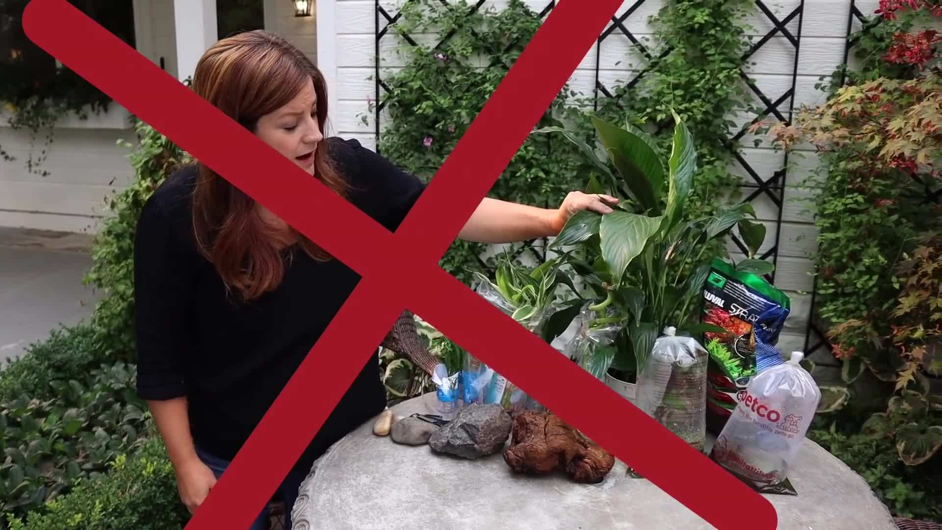 Adding aquatic plants to the water garden