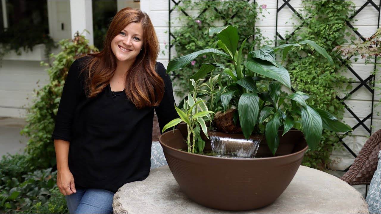 Creating a Water Garden with Waterfall: A Step-by-Step Guide