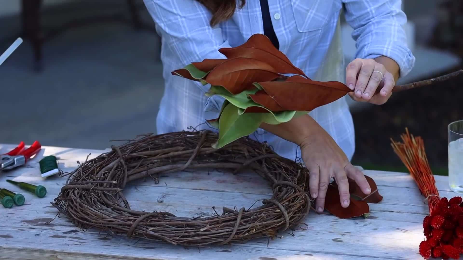 Beautiful Magnolia Leaves